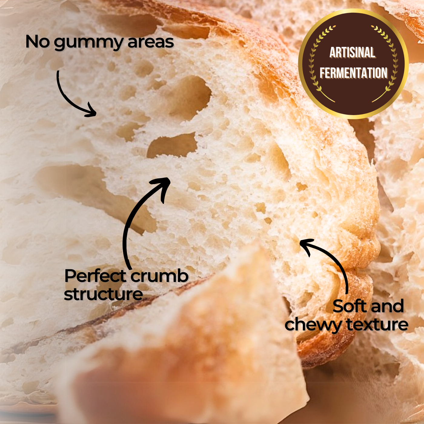 Proloaf Classic Sourdough (2 Pack)