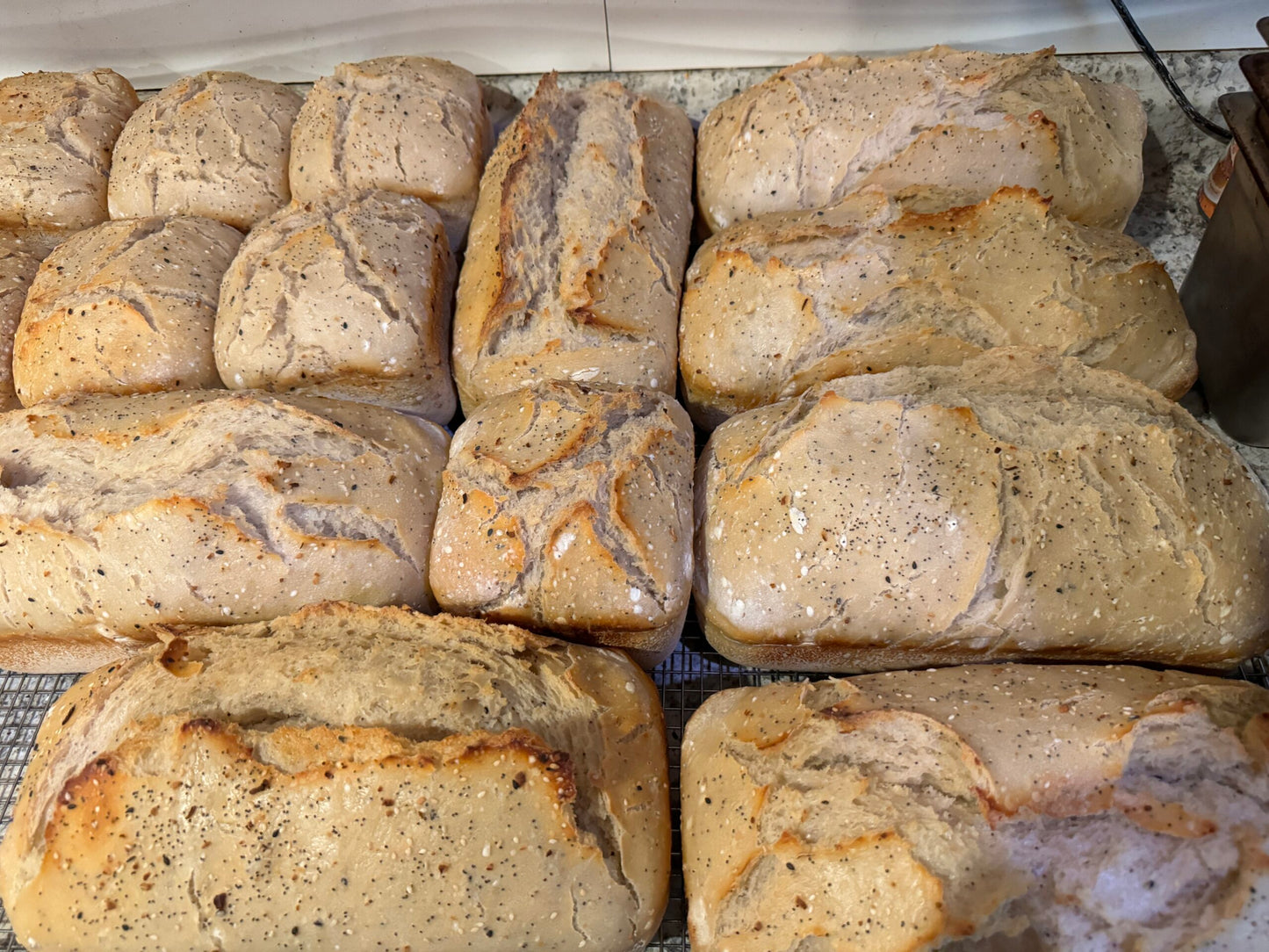 Proloaf Variety Pack